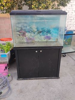 40 Gallon Aquarium with Stand