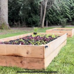 Cedar Planter Boxes🌻🍀