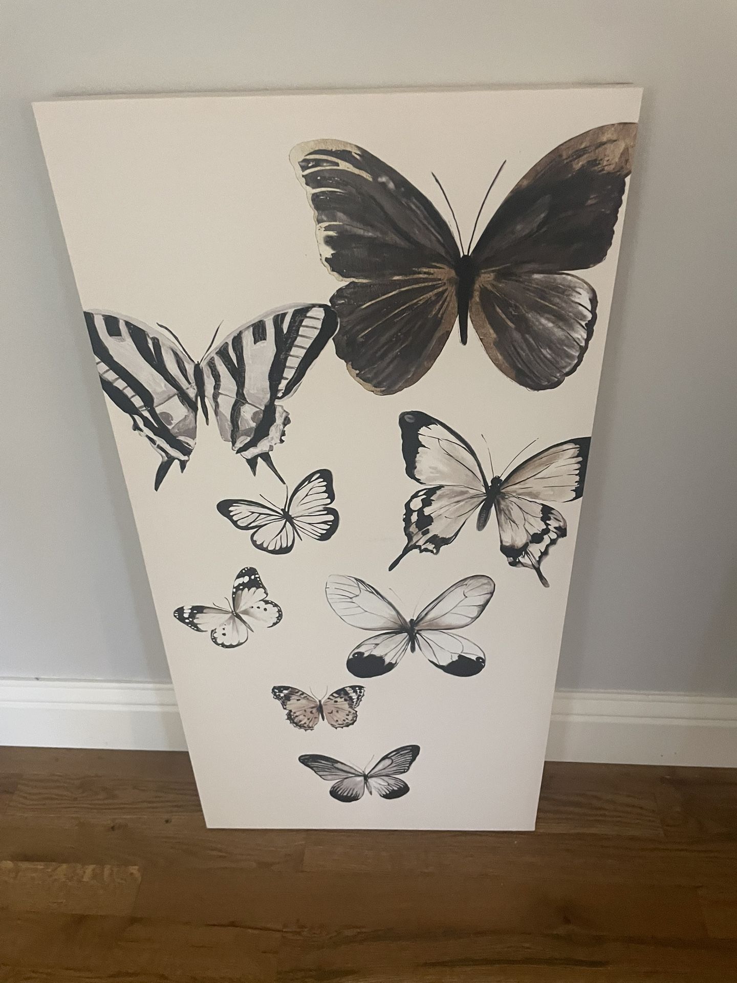 Butterfly Canvas