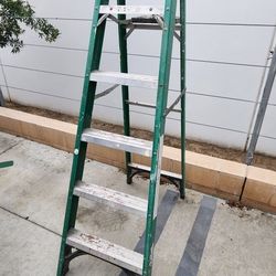 6ft Ladder
