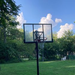 Elite Stand With Hoop/ Adjustable 