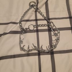 Dog Prong Collar