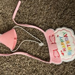 Birthday Bib And Hat For Cats