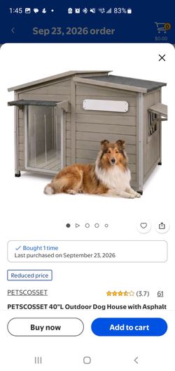 Dog House