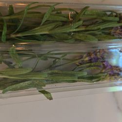 Fresh Lavender Herb