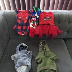 Ropa Perrito