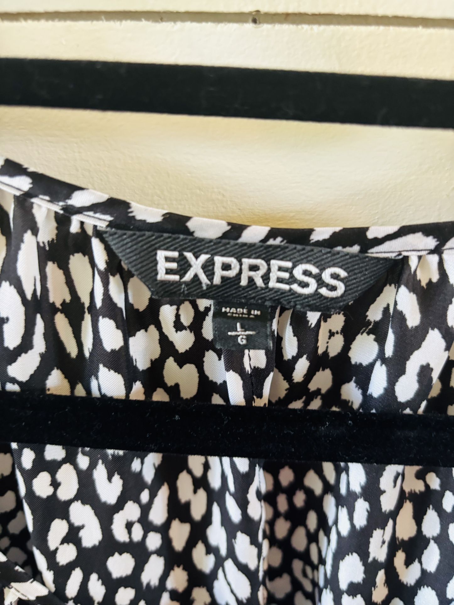 Express Ladies Blouse