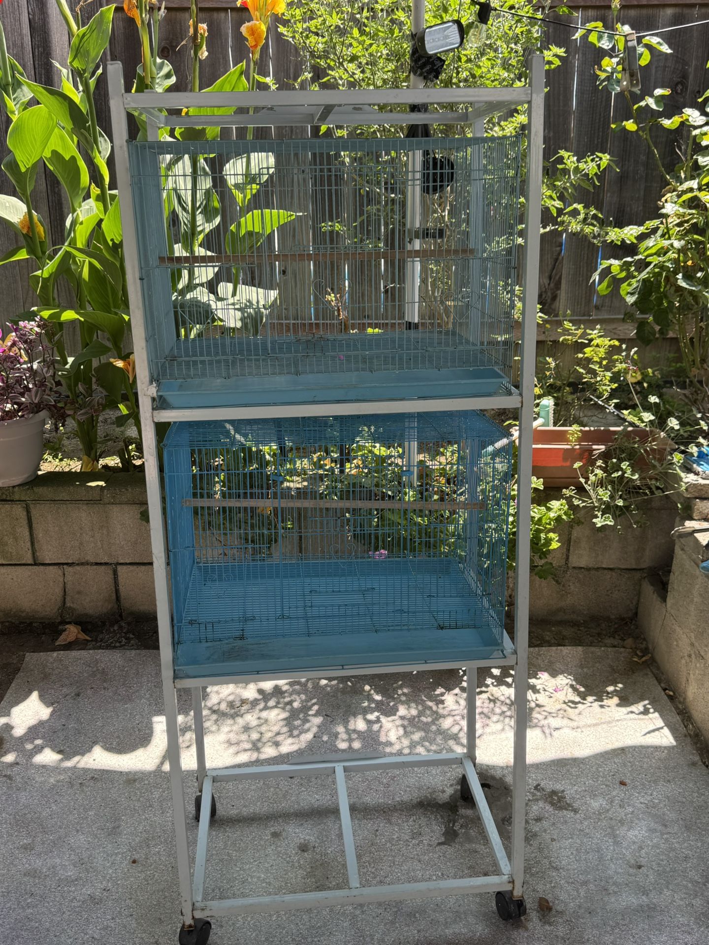 Bird cage