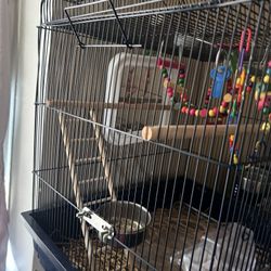 Parakeet & Cardinal Bird Cage 
