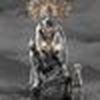 Lobo