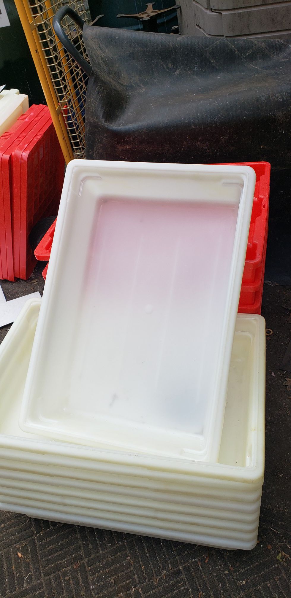 Storage Container. White Heavy Duty. For all things. With lids