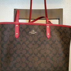 Women's Hand Bags 