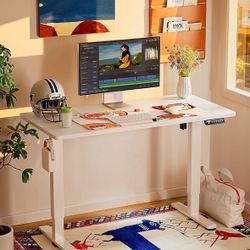 Adjustable Electric Standing Desk