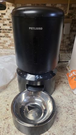 cat automatic food Dispenser