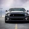 CarPro_Houston