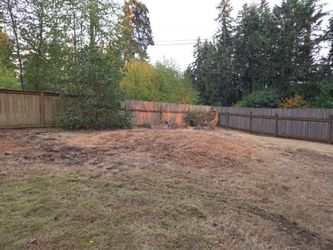 Free shaving from stump grinding
