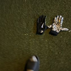 Nike shark football gloves