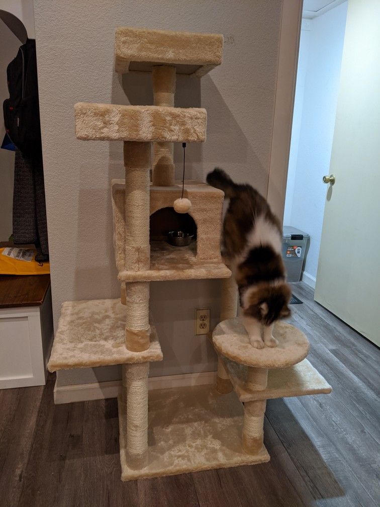 Cat Tree