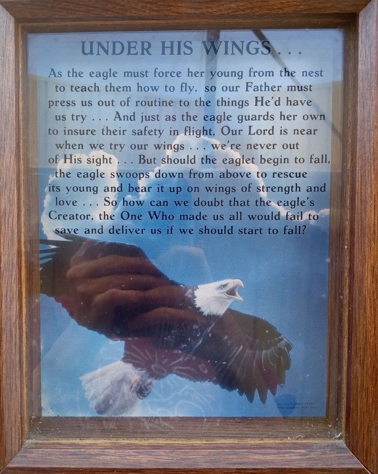 Under His Wings - Picture With Frame