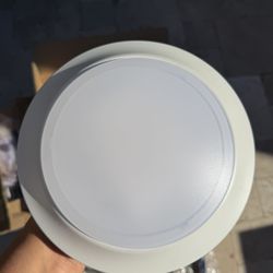 Wall Mounted Ceiling Light 