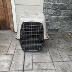 Dog House
