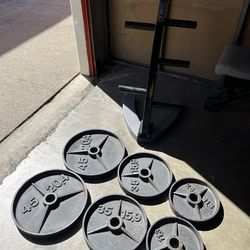 Olympic Weights with Stand