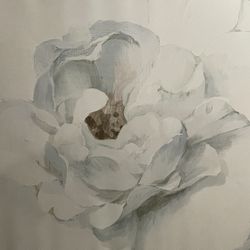 Neutral Peony Canvas Print by Danhui Nai 