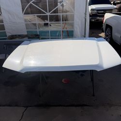 2004 Silverado Hood Clean