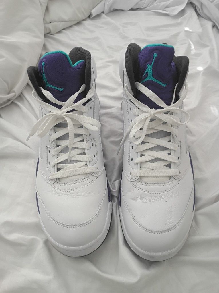 JORDAN 5 GRAPES ( Size 12 )