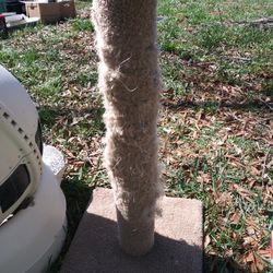 Cat Scratching Post (needs recovering)