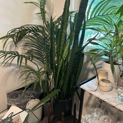 Fake Plants 