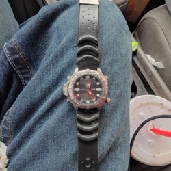 Citizen Aqualand Diver Watch