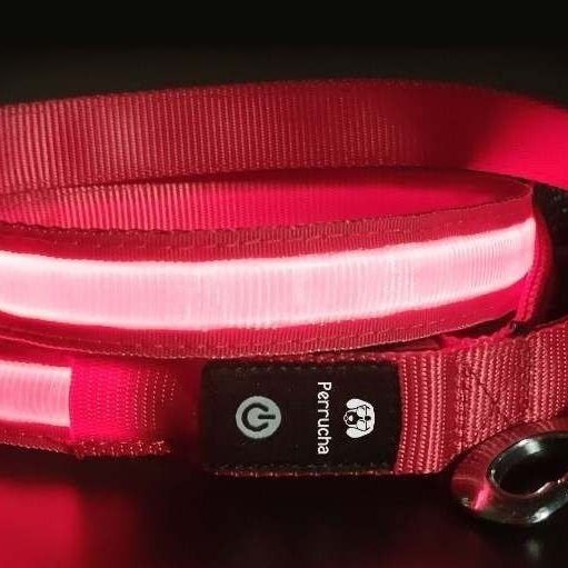 LED Dog Leash  Rechargeable 🐕‍🦺