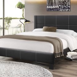 BRAND NEW QUEEN BED FRAME (PLATFORM) 