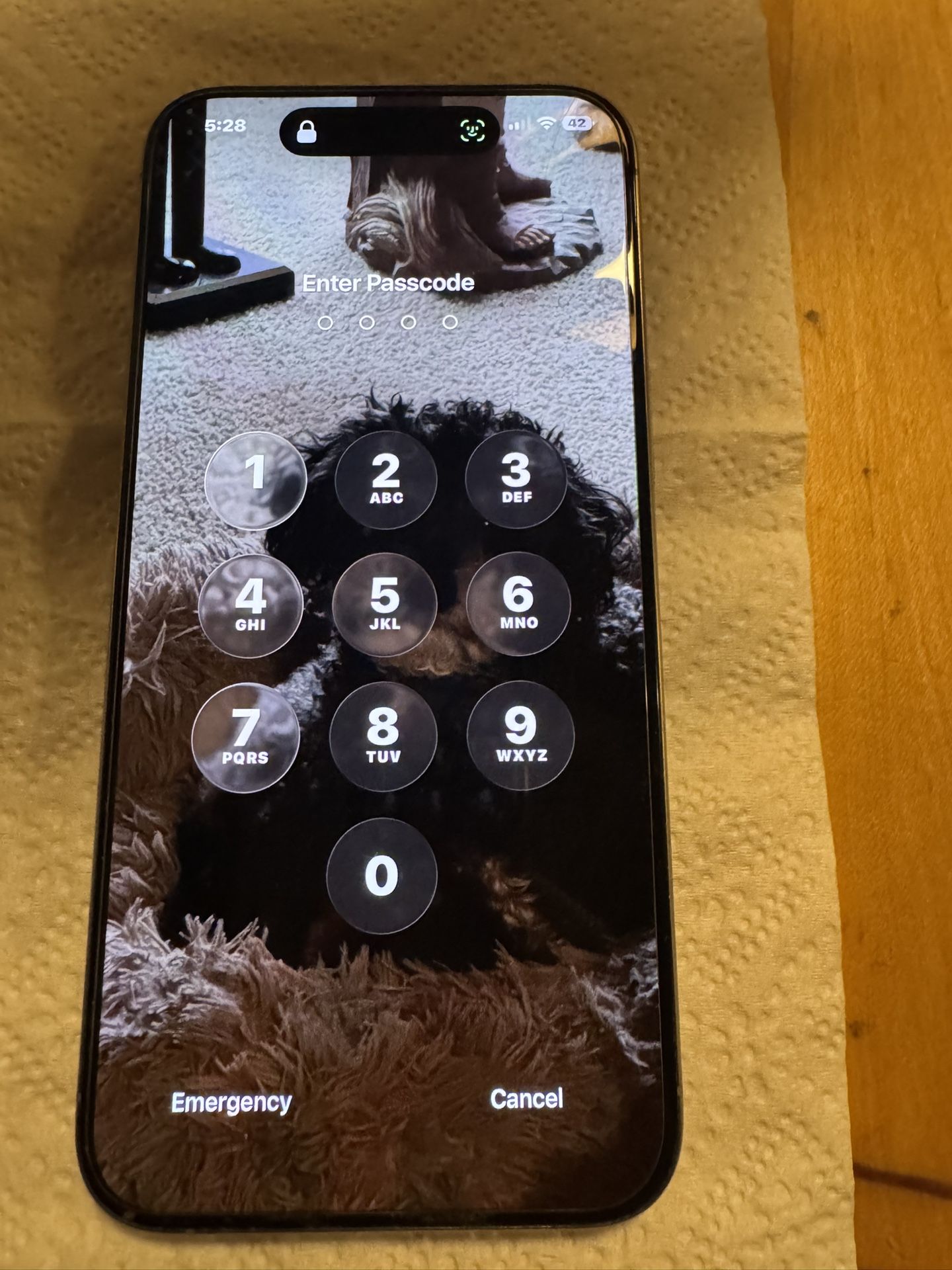 Iphone 15 Pro Max 256gb