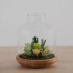 Assorted Succulent Terrarium