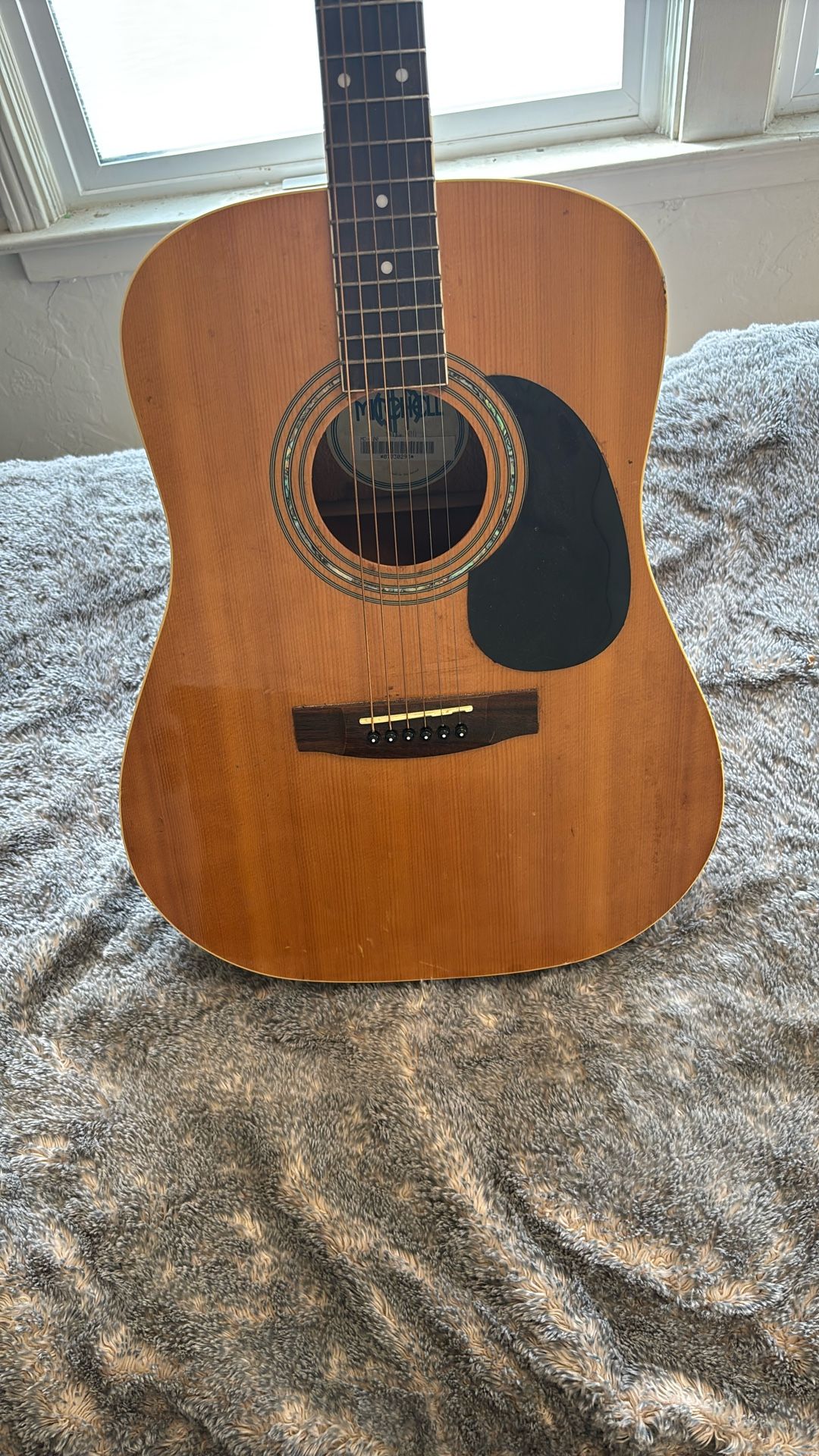 Mitchell D120 (acoustic)