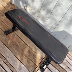 Basic Workout Bench 
