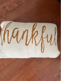 Decorative Throw Pillow