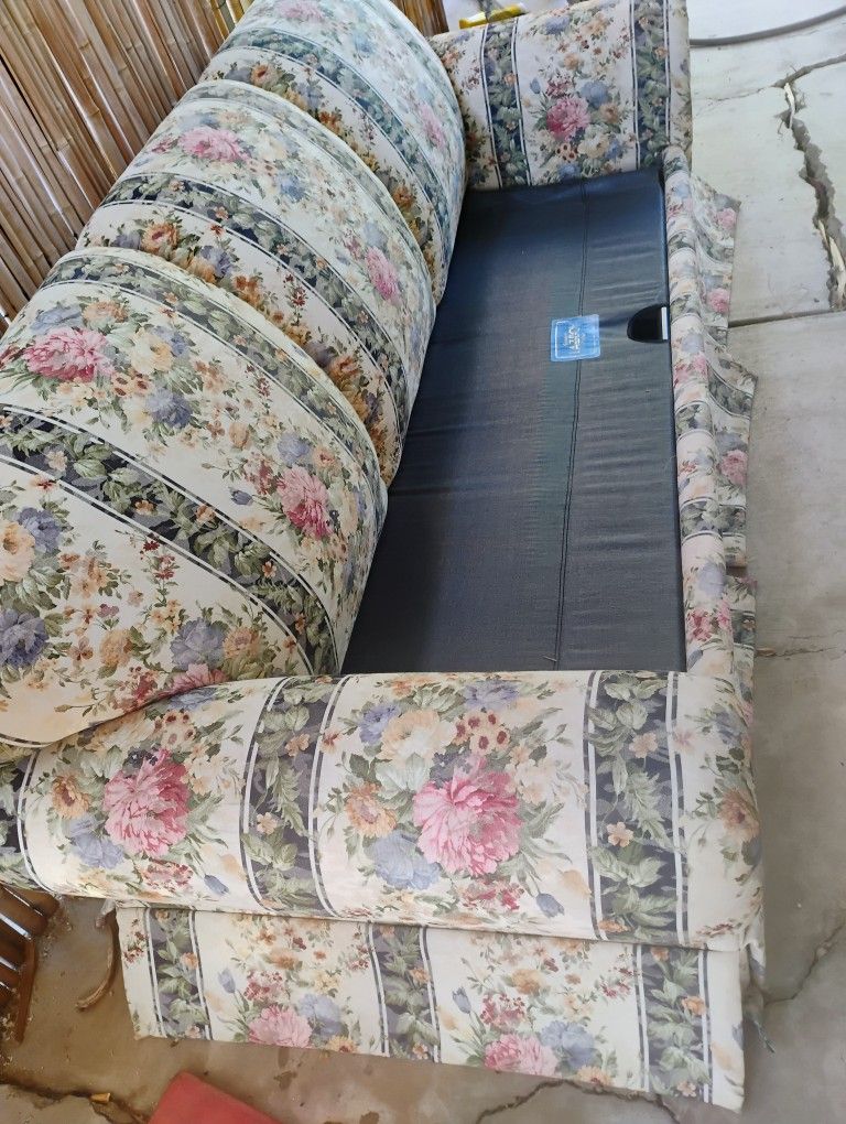 Free Sleeper Sofa!