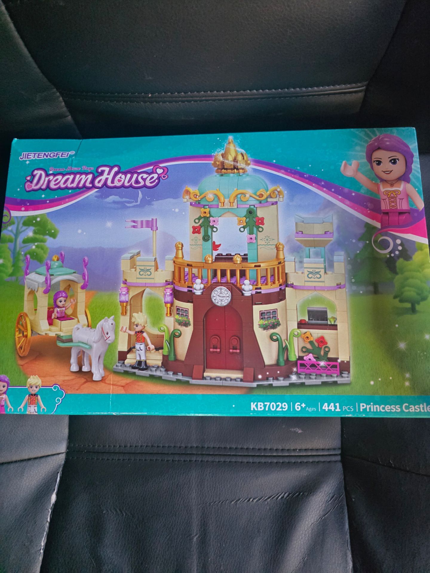 DREAM HOUSE CASTLE