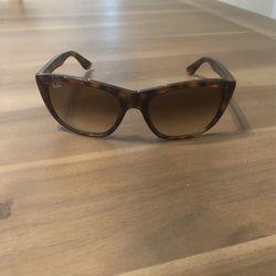 RayBan Sunglasses 