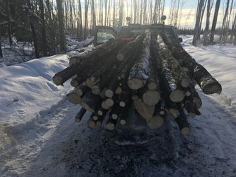 Firewood for sale