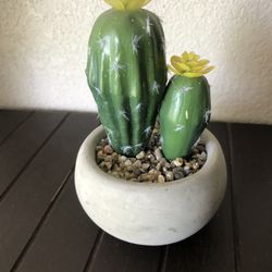 Cactus Decoration