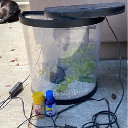 Fish Tank W/ Light And Filter $10