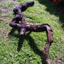 Large Natural wood Aquariums Terrariums 