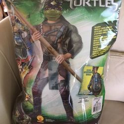 Ninja Turtle costume