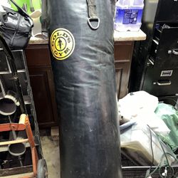 Punching Bag / Speed Ball