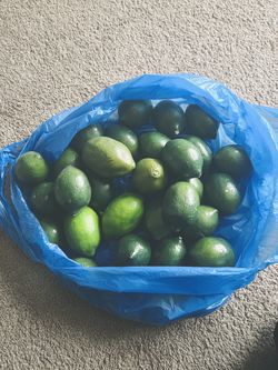 Plastic Limes 