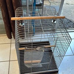 Parrot Cage